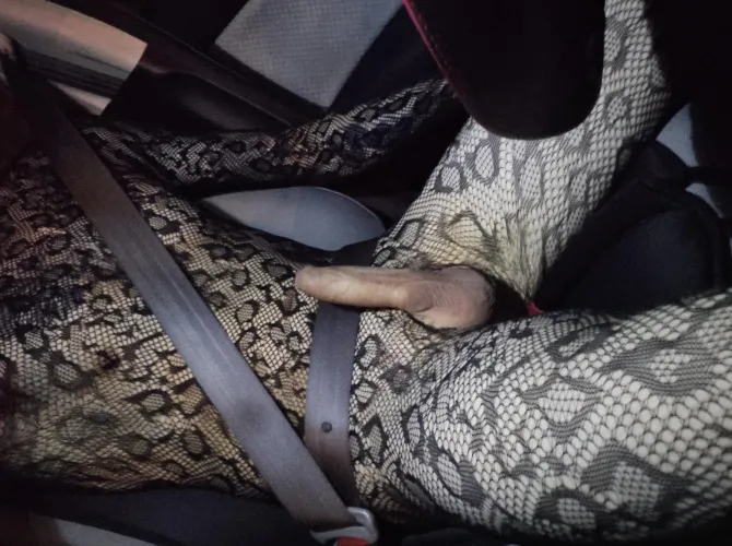 Can I be your passenger princess? 🥹