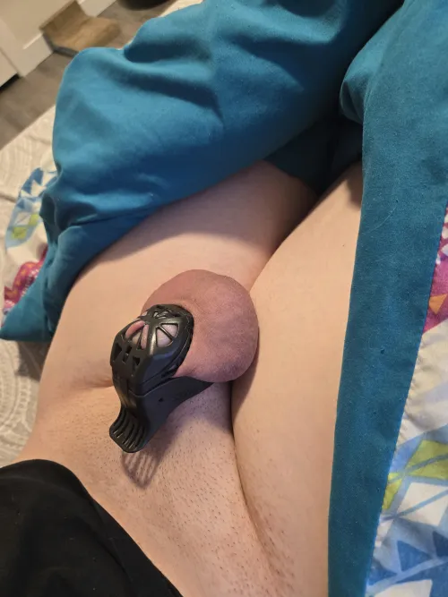 Day #2 of permanent chastity