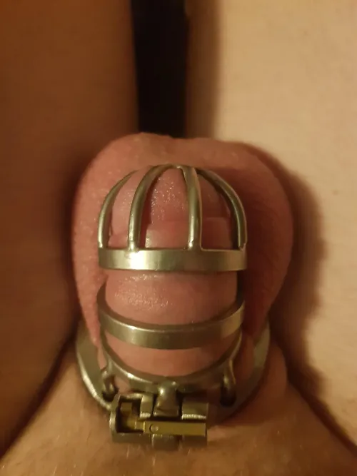 Do you think this is comfortable enough for permanent locking?