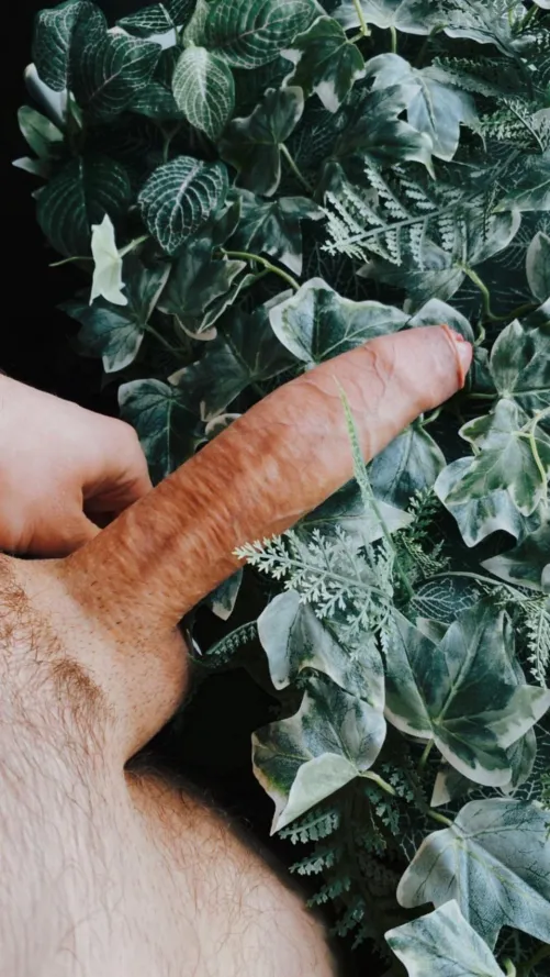 einmal setzen bitte (30)