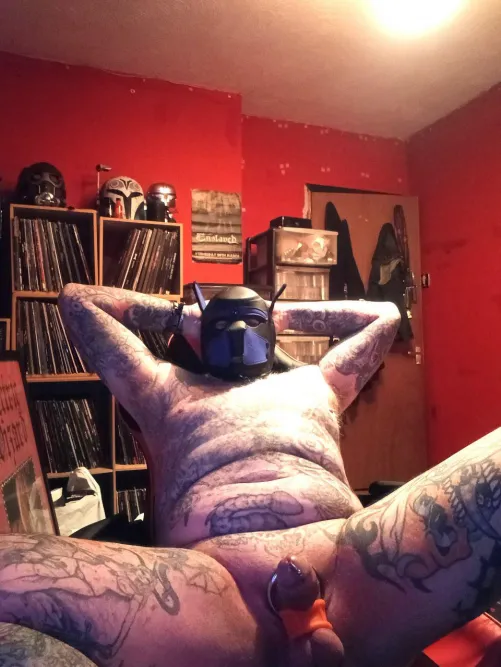 Evening pups playing with two joysticks