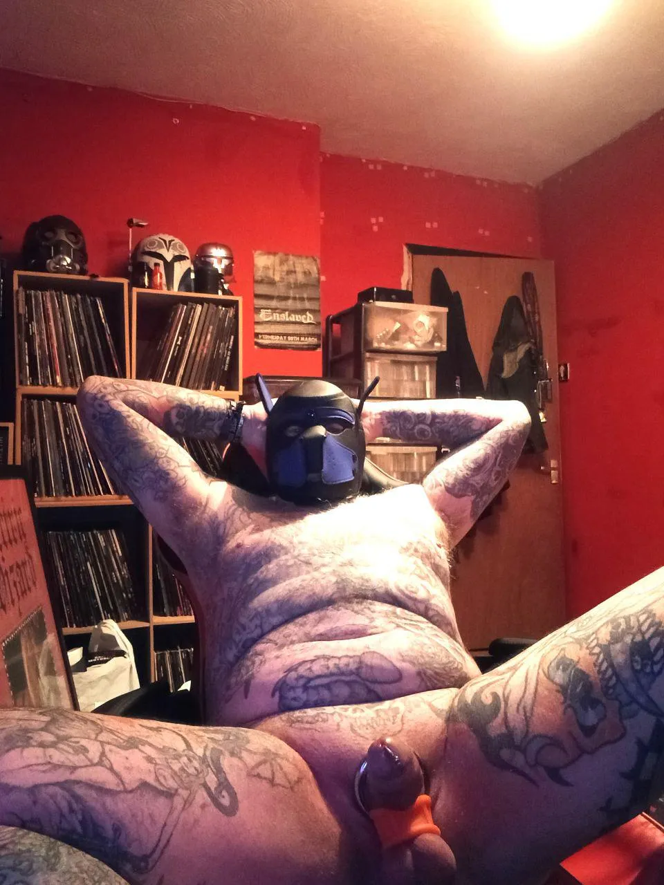 Evening pups playing with two joysticks