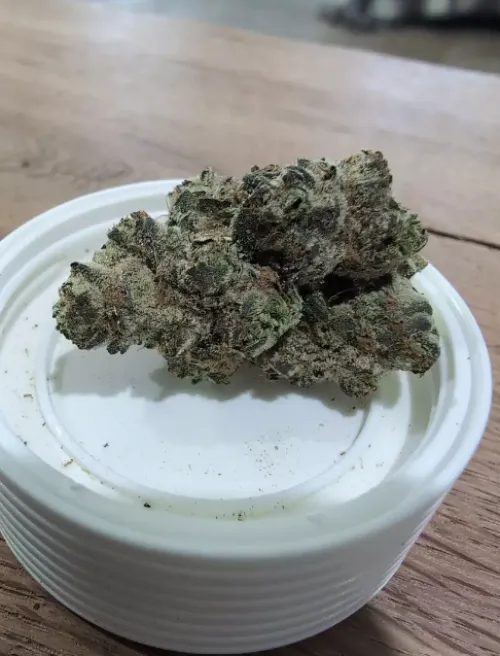 Grabbed some living soil THCA flower and I’m kinda blown away tbh