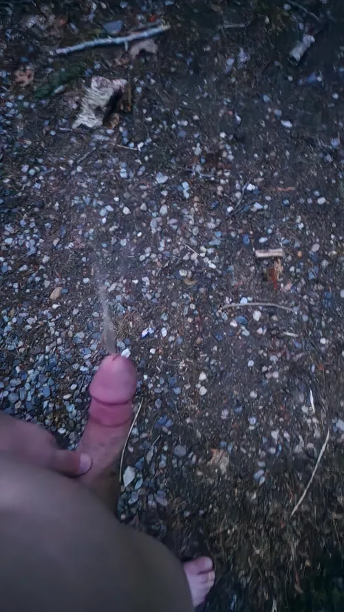 Heavy spray in the woods at night