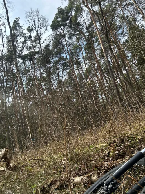 Just having a great trip LSD sugar cubes(200ug)