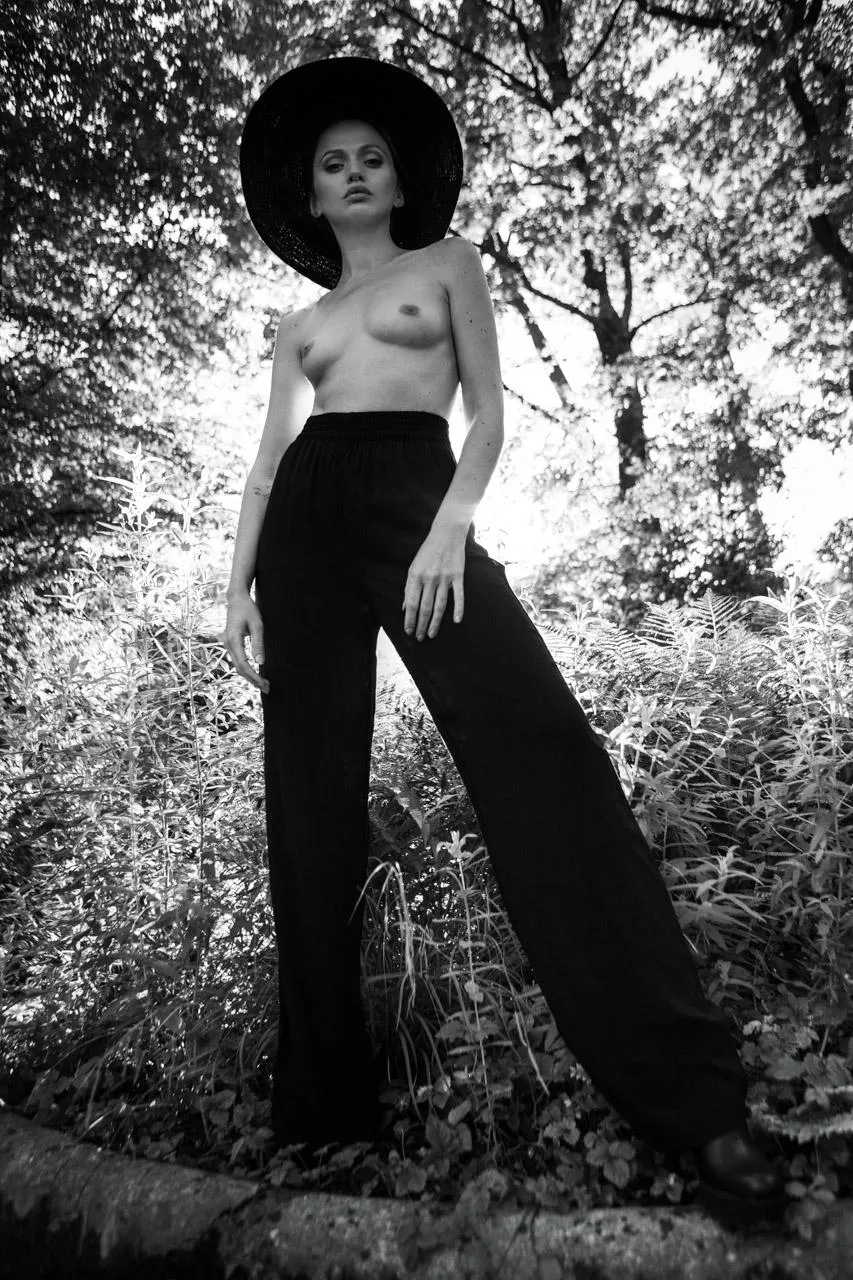 Love Fern, by Nicloas Larriere