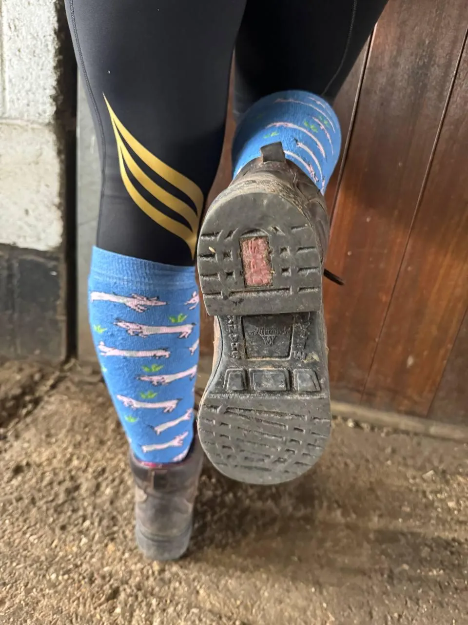 My horse stalls are all mucked out. Who's going to clean my boots?