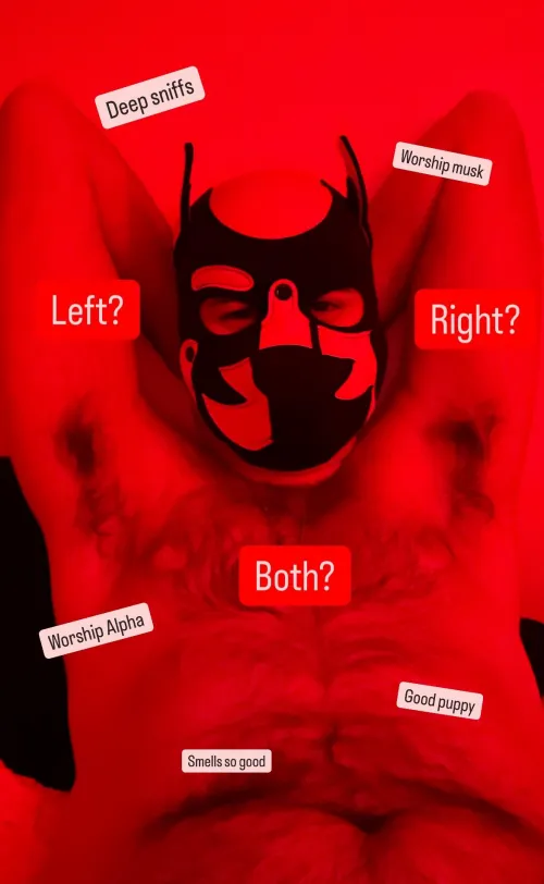 Take a deep sniff and worship Alpha’s musky pits