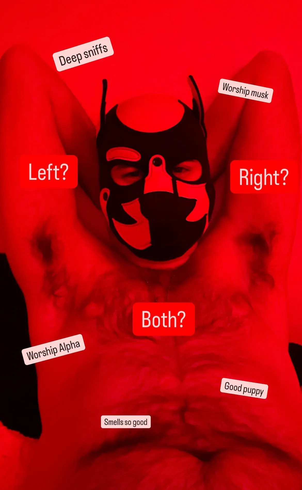 Take a deep sniff and worship Alpha’s musky pits