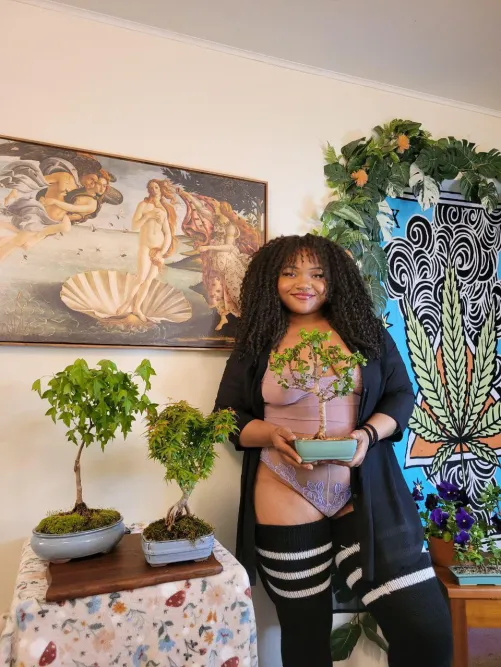 At home bonsai exhibit 🥰