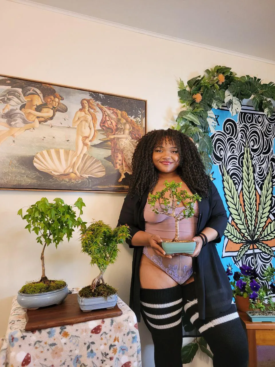 At home bonsai exhibit 🥰