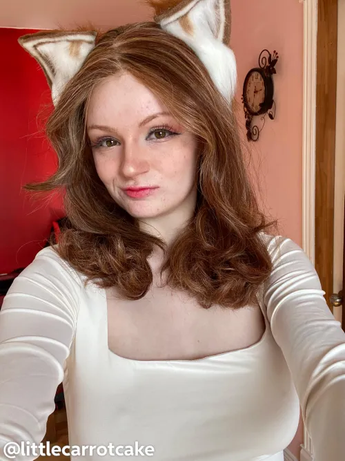 Can fox girls be beauties too? F18