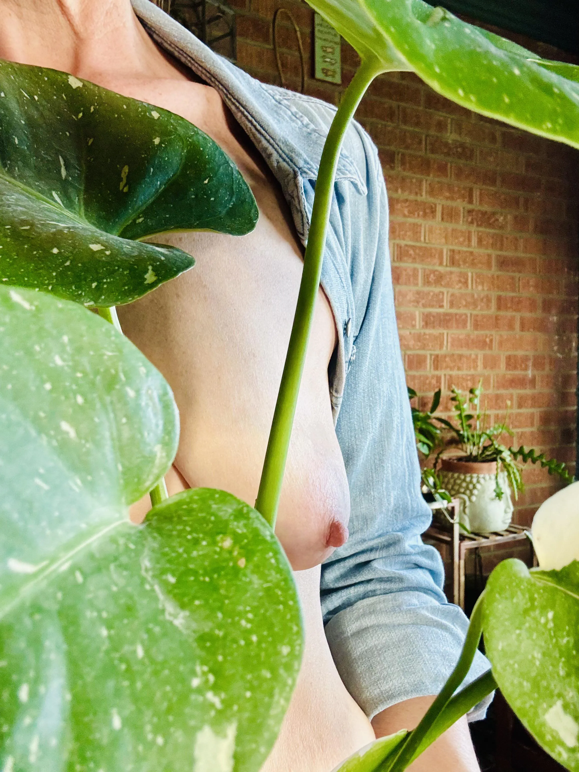 Even my plants have [f]reckles💚🌿