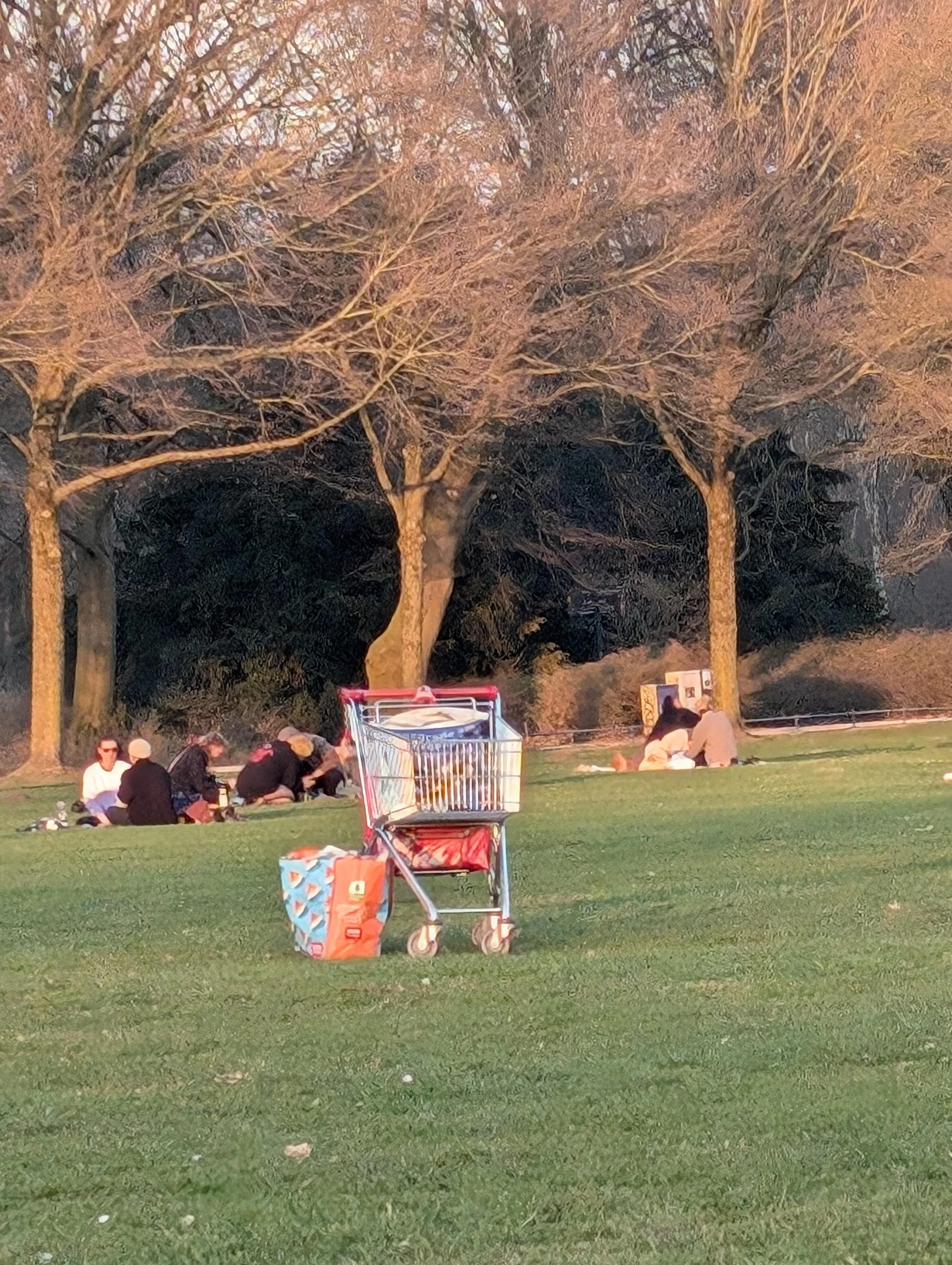 Hamburg (Germany) city park