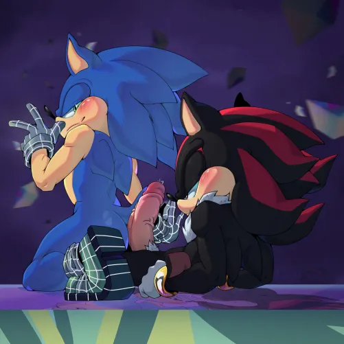 I think Sonic got a little too excited when he saw Shadow... Look at Shadow's huge boner 💦 [MM](art_polaris)