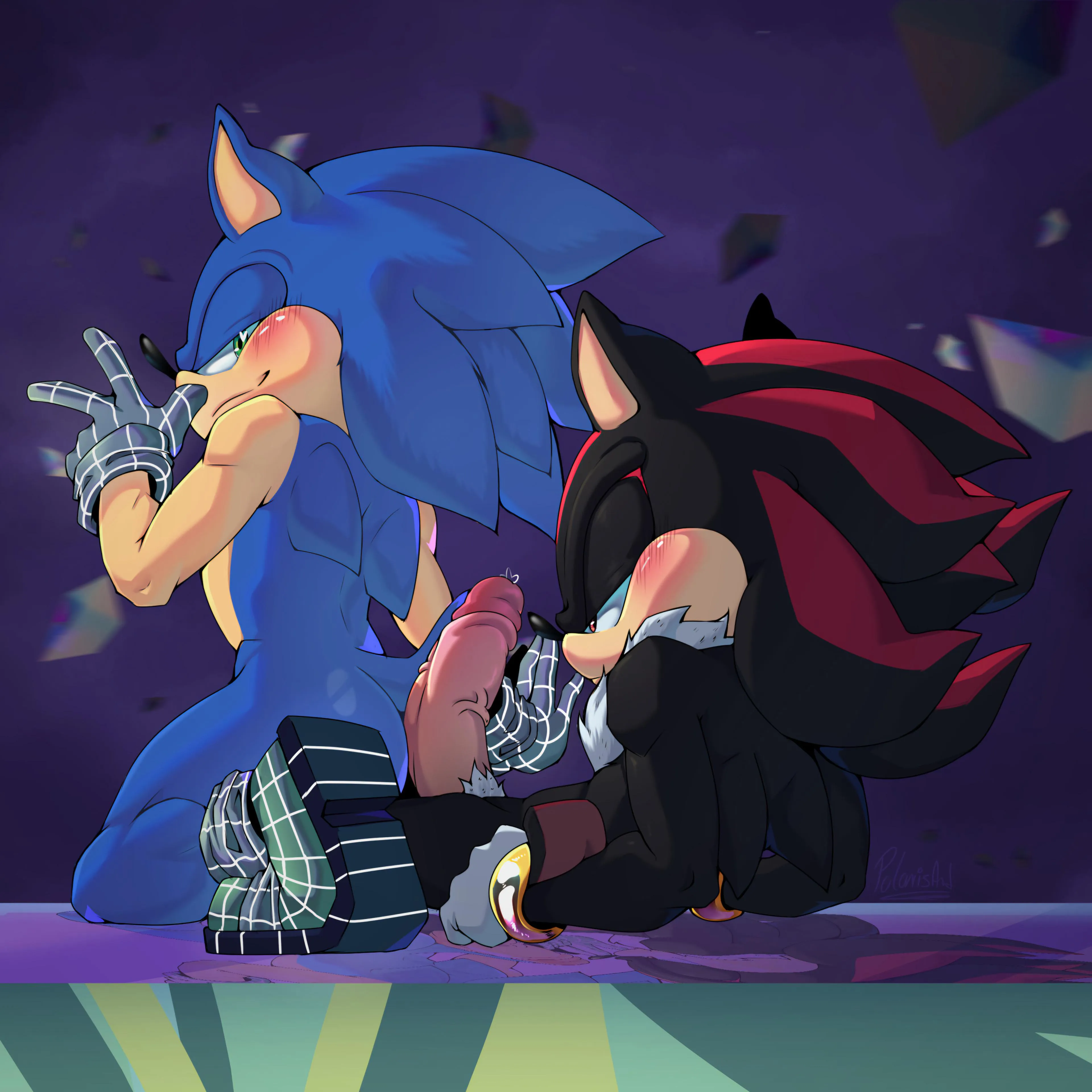 I think Sonic got a little too excited when he saw Shadow... Look at Shadow's huge boner 💦 [MM](art_polaris)