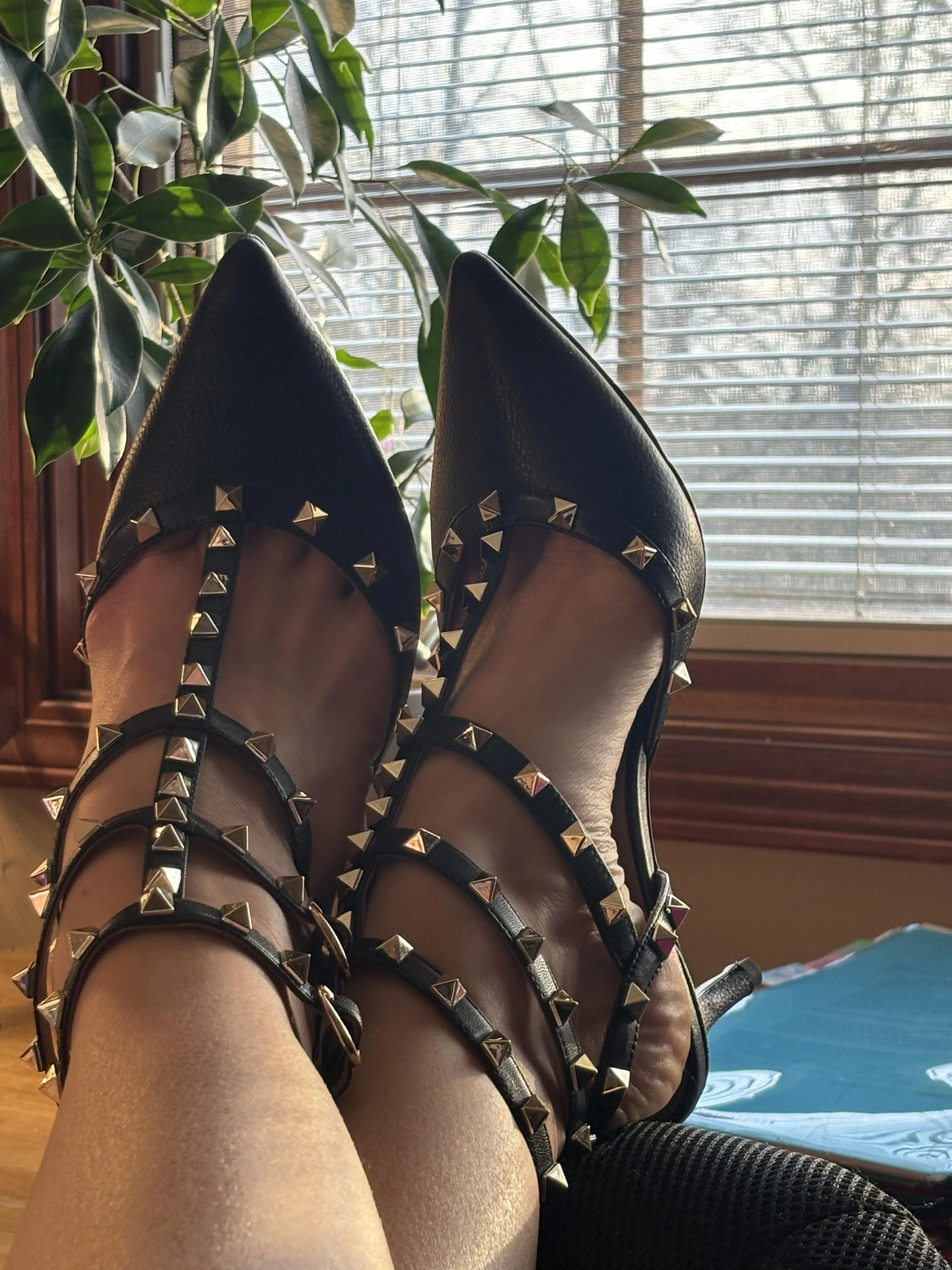 Just enjoying Sunday evening