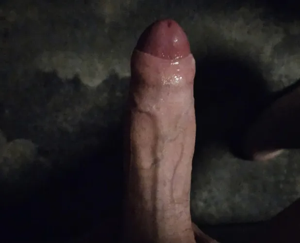 Just woke up like this.. could use some holes to pound for thst german cock daily