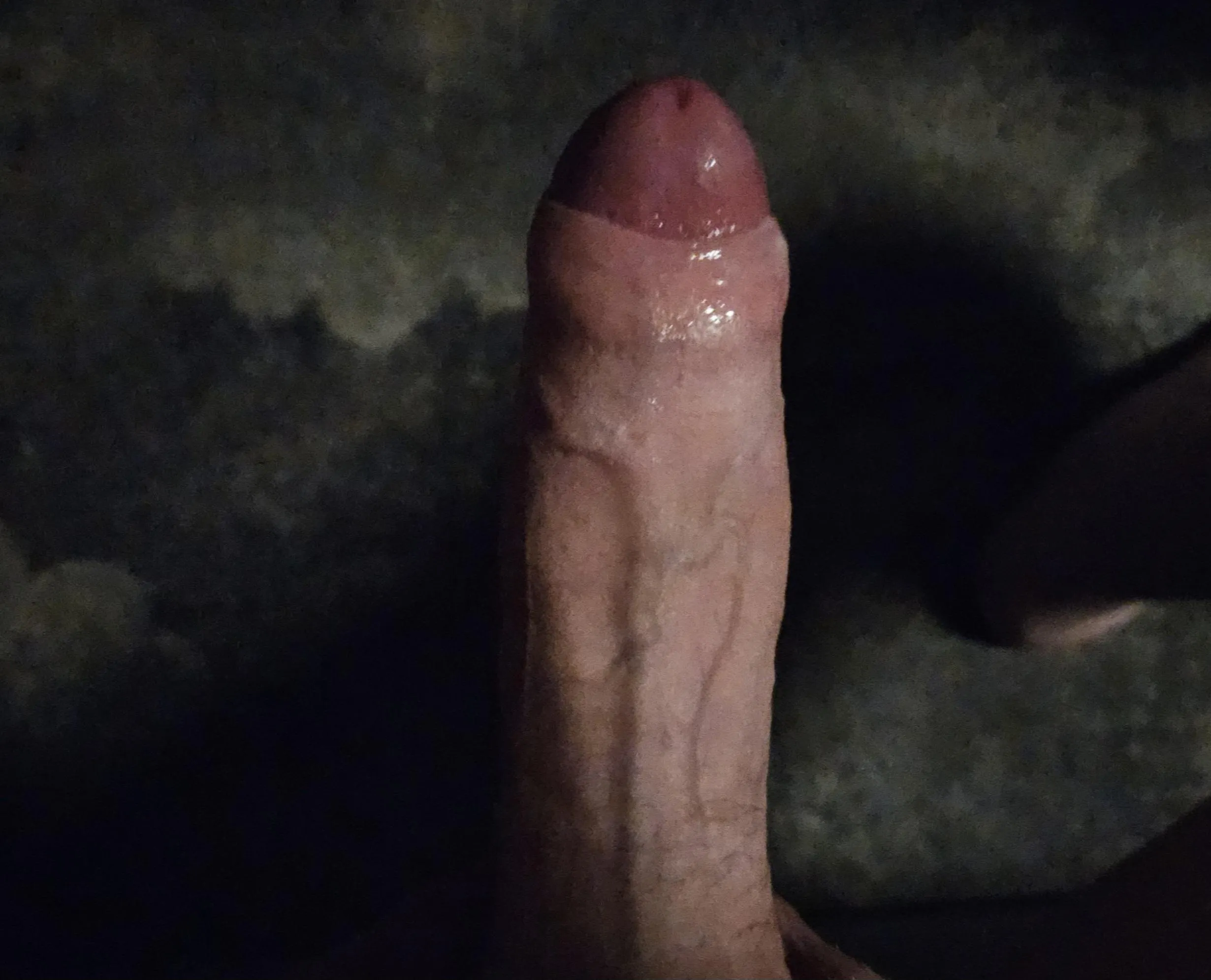 Just woke up like this.. could use some holes to pound for thst german cock daily