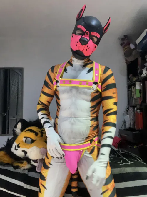 Puppy and furry over here! 🐶🐯