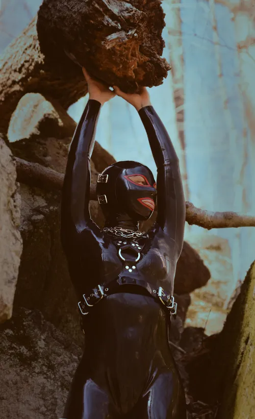 Shiniest plant in the forest