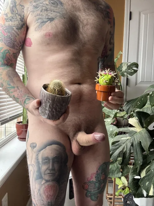 Some poke more than others