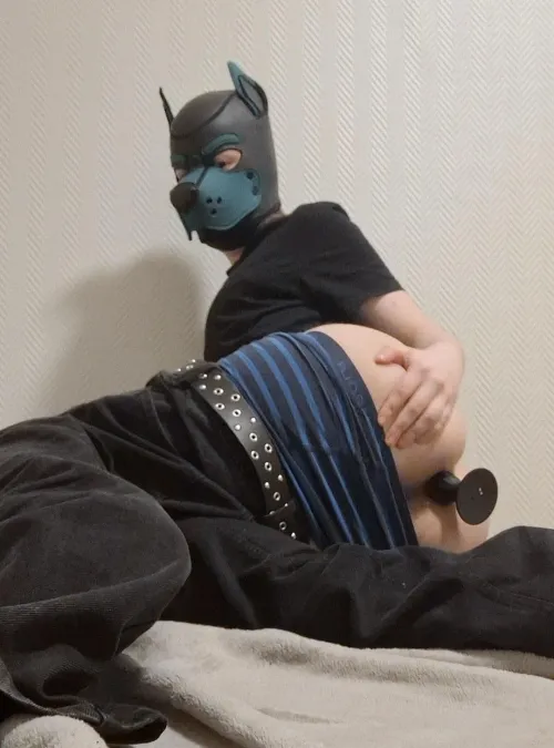 Space for a ftm pup in here?