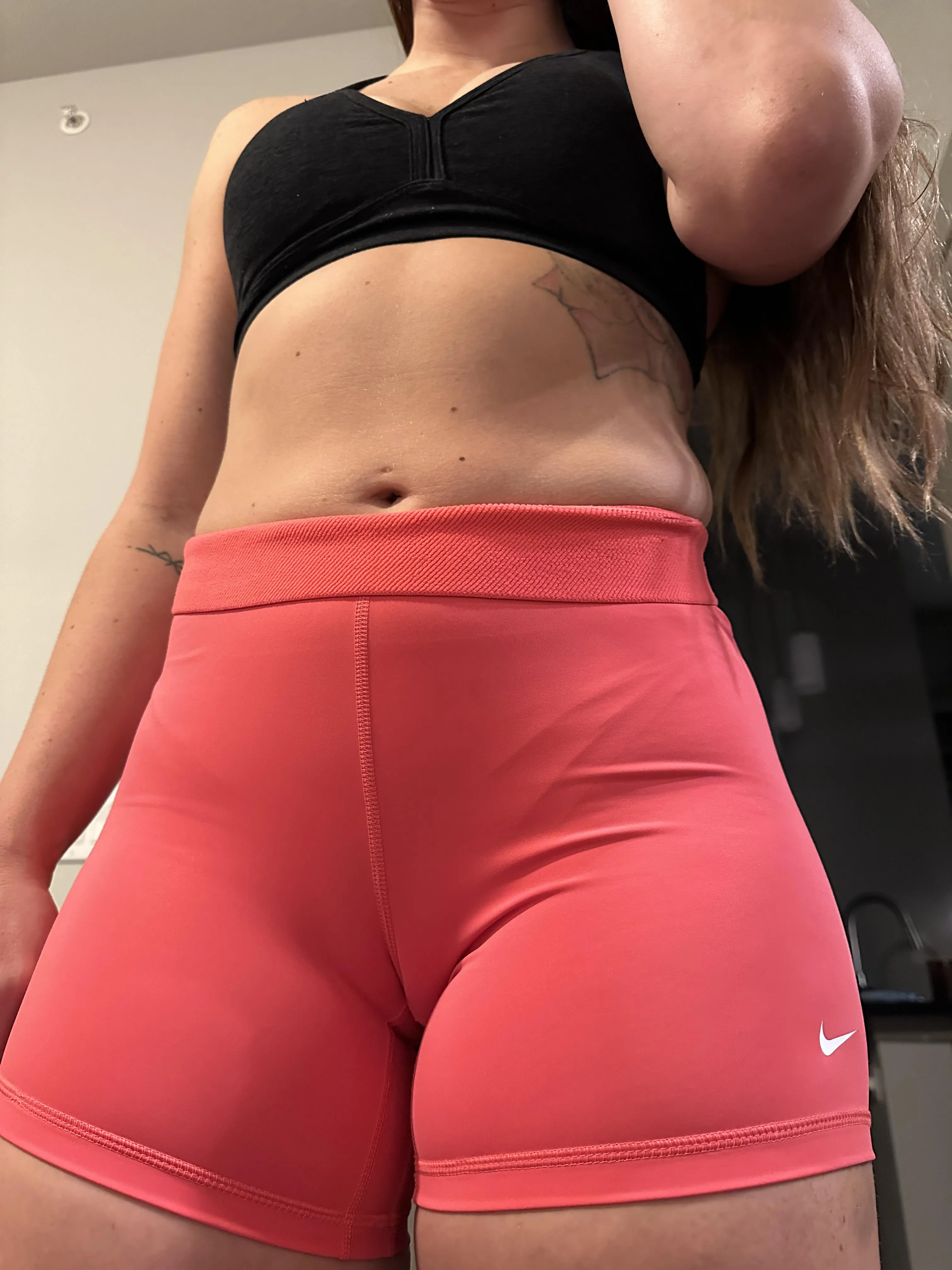 there's a camel on the loose