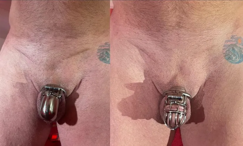 Two BAWR titanium. 2g PA hooks.