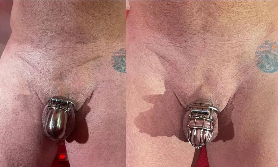 Two BAWR titanium. 2g PA hooks.