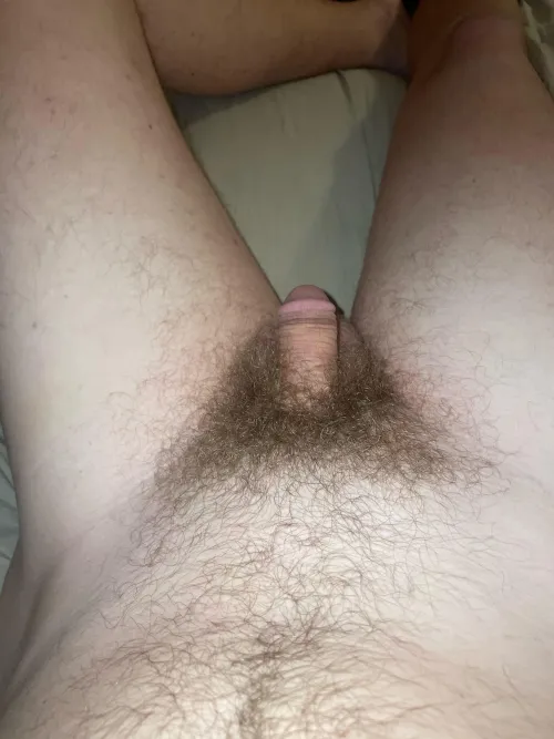 (25) How’s my bush?