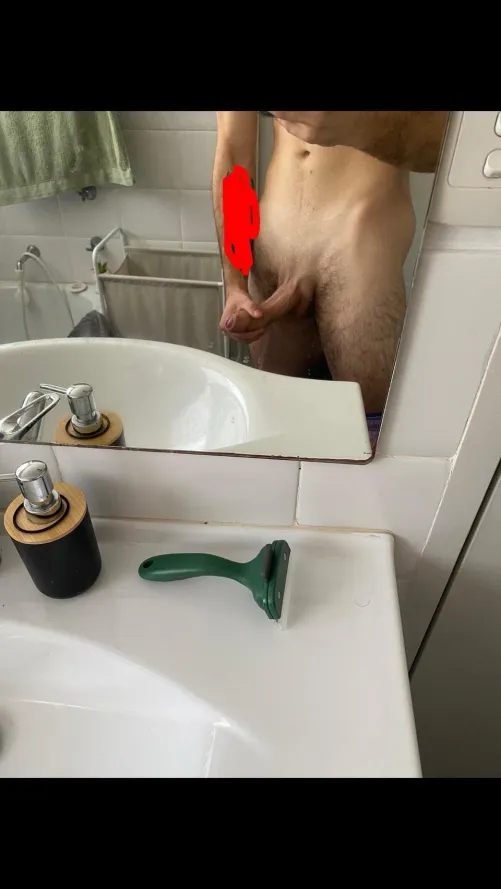 Bull looking for F or mf fun