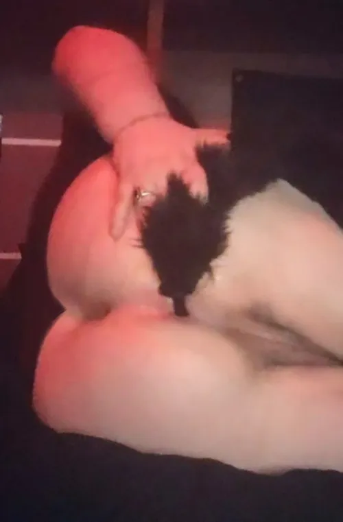 Got ny tailplug in :3