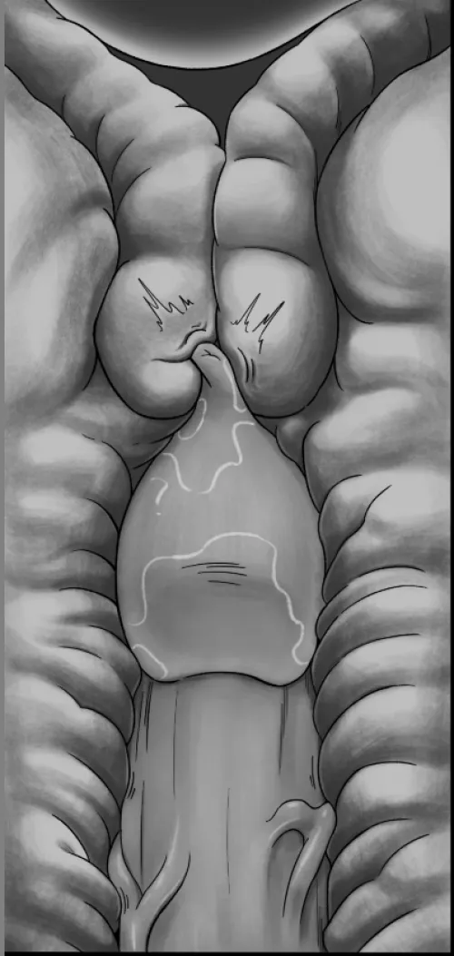 How to draw wet/lubed sex? You guys have any good reference for this?