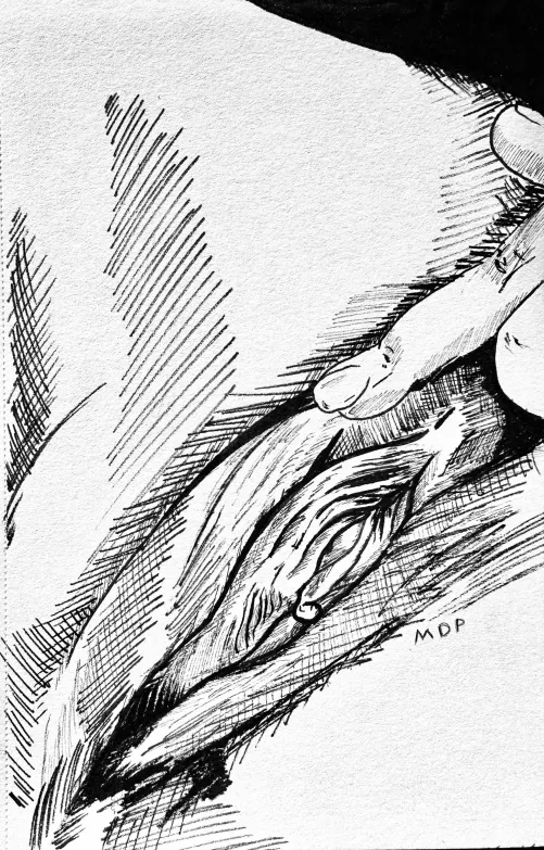 Intimate anatomy study #18 by me. Reference from anonymous Reddit user