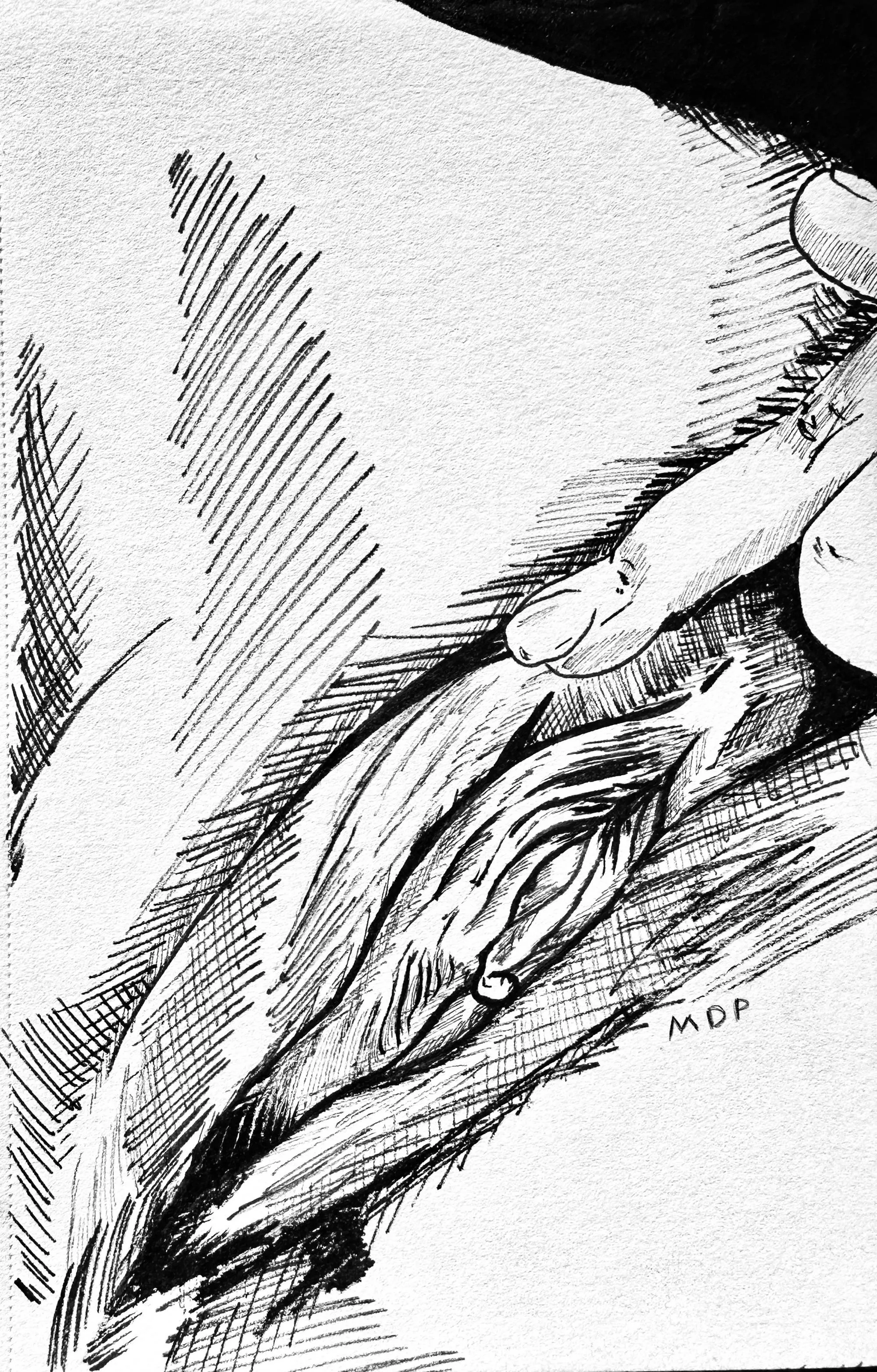 Intimate anatomy study #18 by me. Reference from anonymous Reddit user