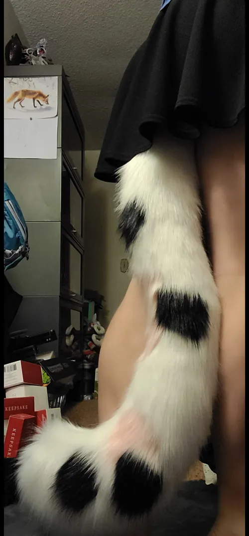 New Kitty Tail
