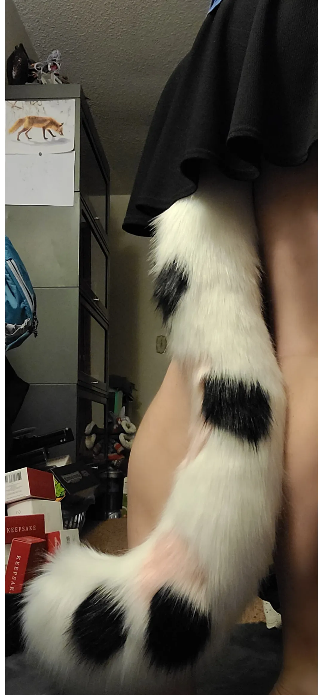 New Kitty Tail