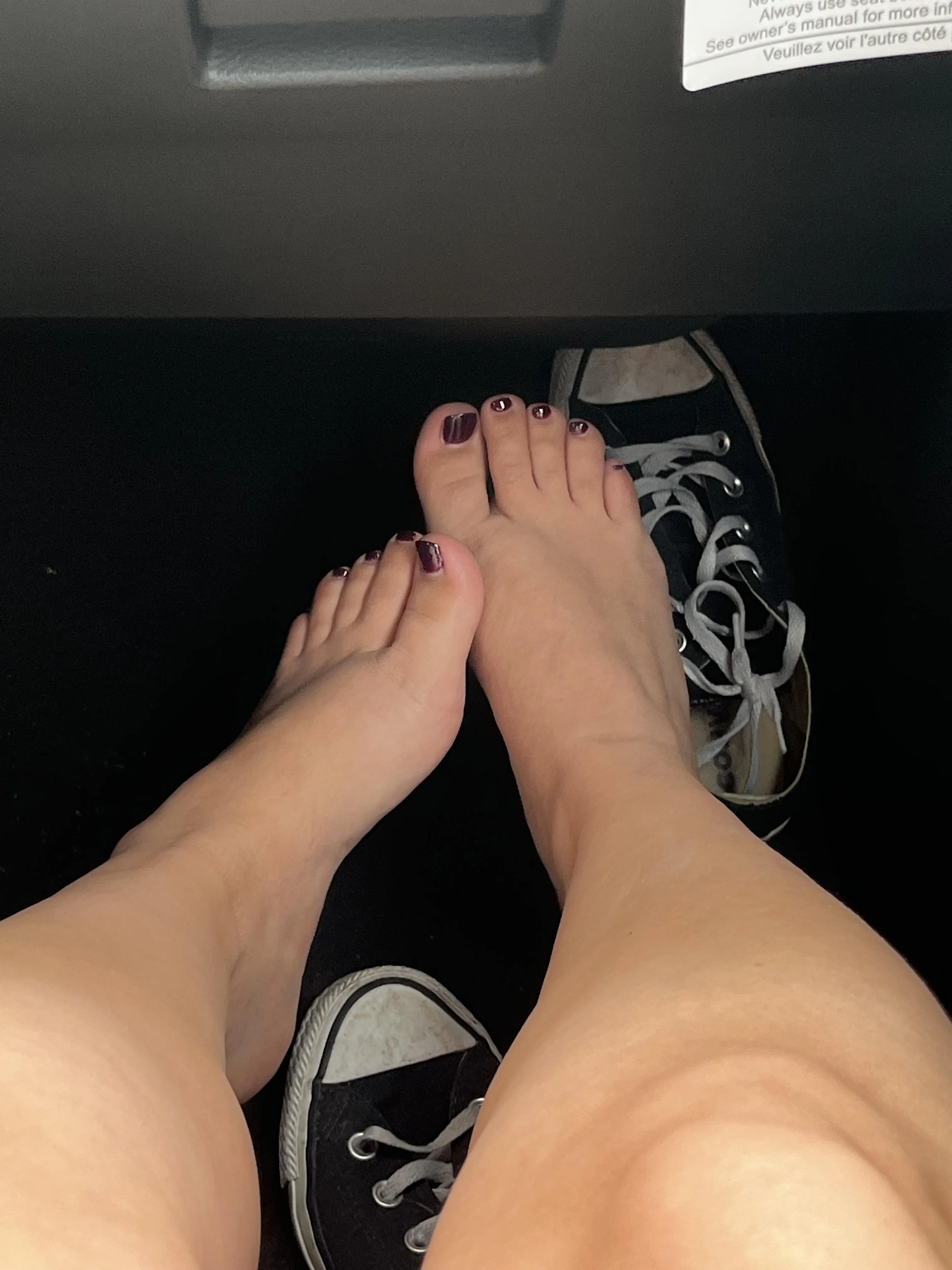 [oc] who’s sniffing my feet? 🙈