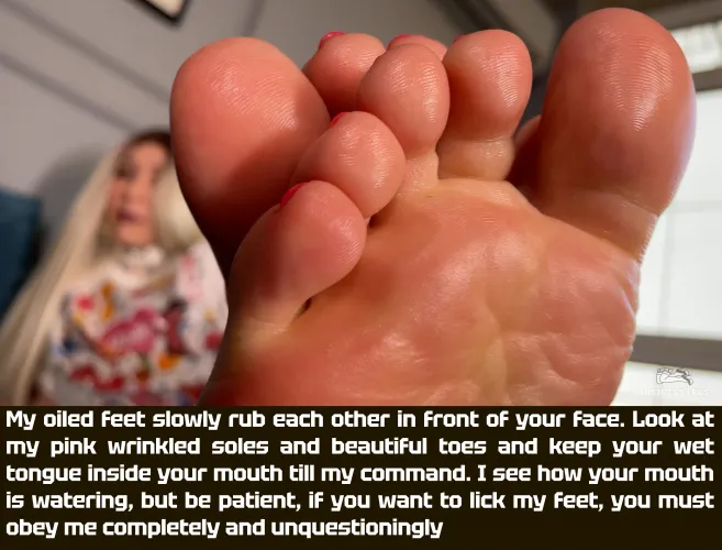 Prepare o lick my oiled feet and toes