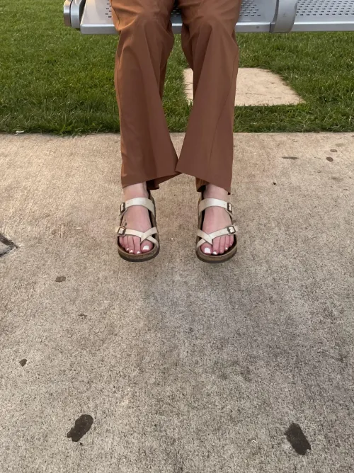 Would you stop and stare at the park