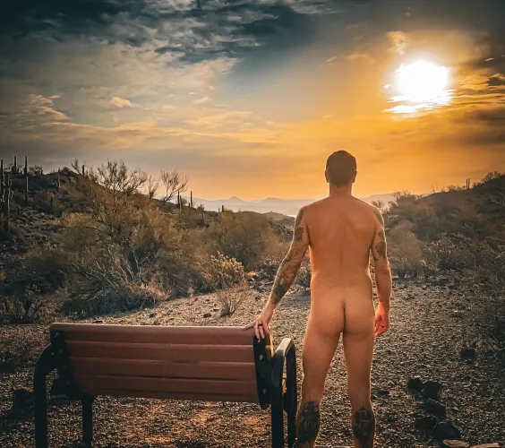 A serene morning in AZ