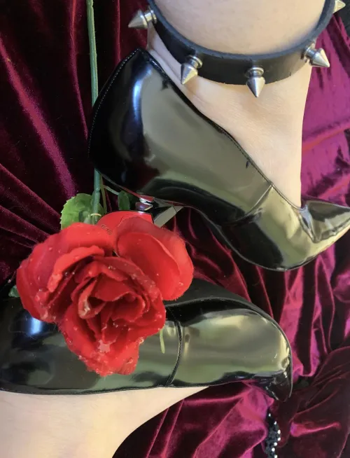 Wenn du spritzt  bevor ich es dir erlaube.. wird dies üble  Konsequenzen für dich haben ✂️🥀