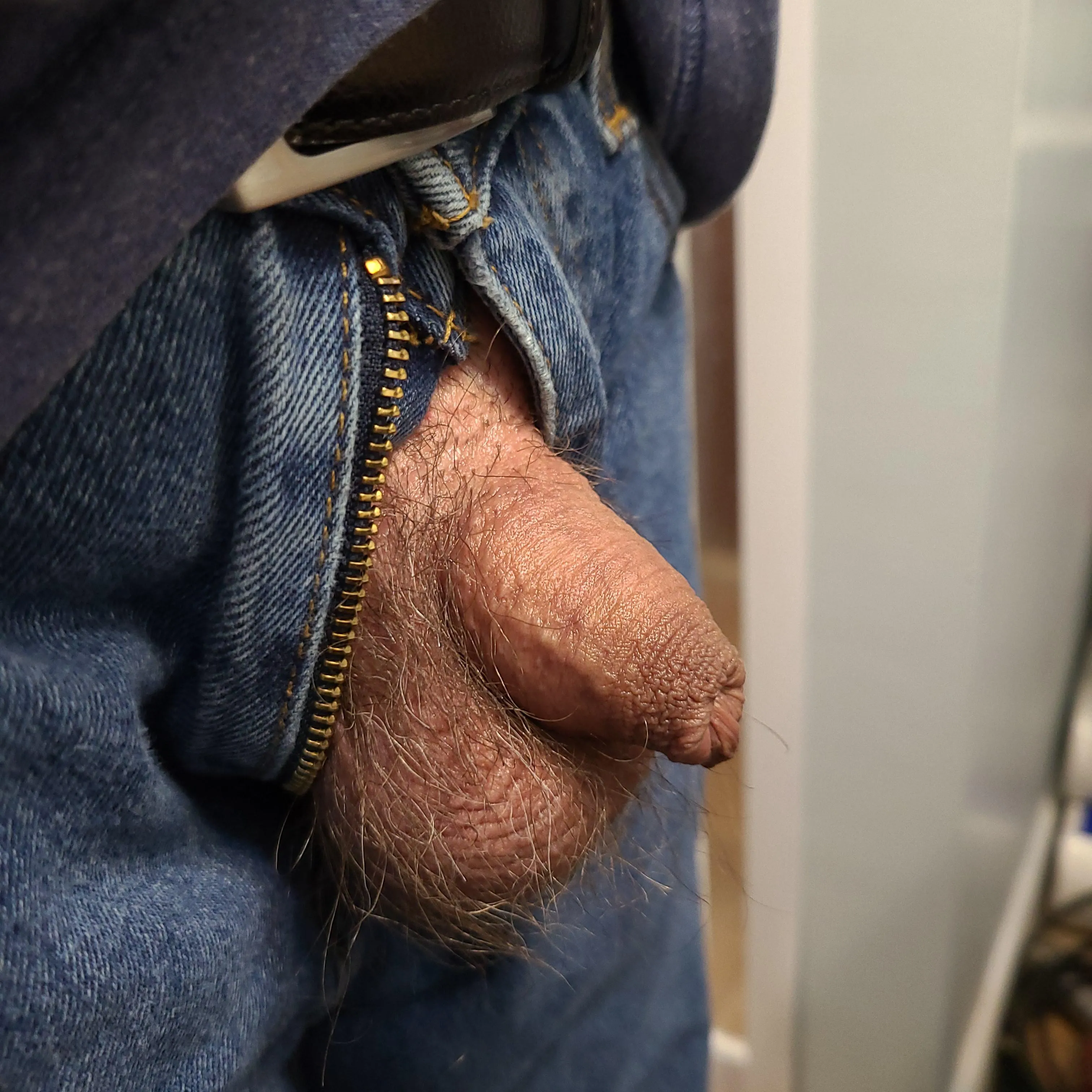 Constantly horny little guy