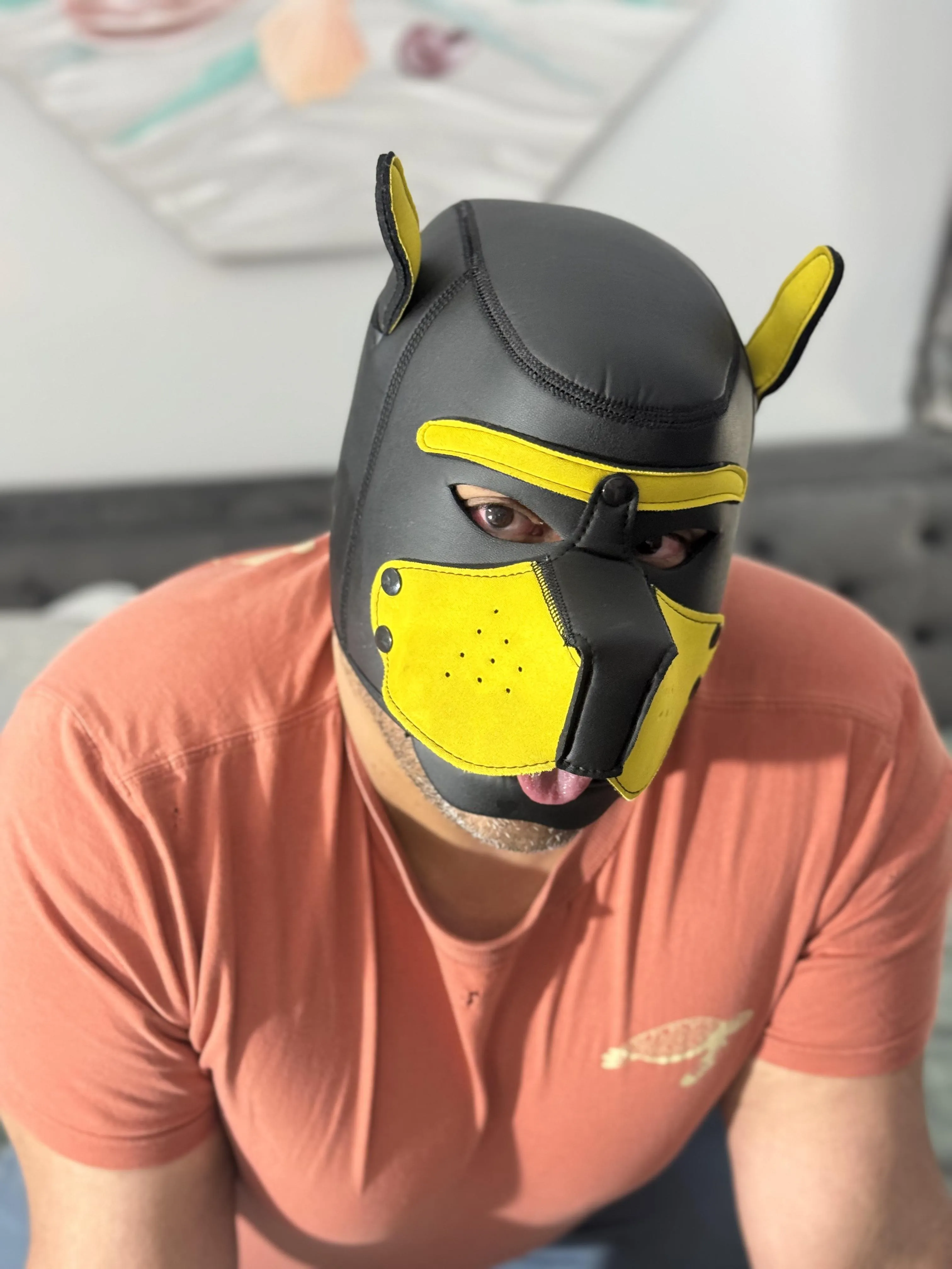 Can I fetch your Cock?