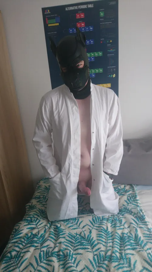 Doctor Pupper is ready for your treatment :3