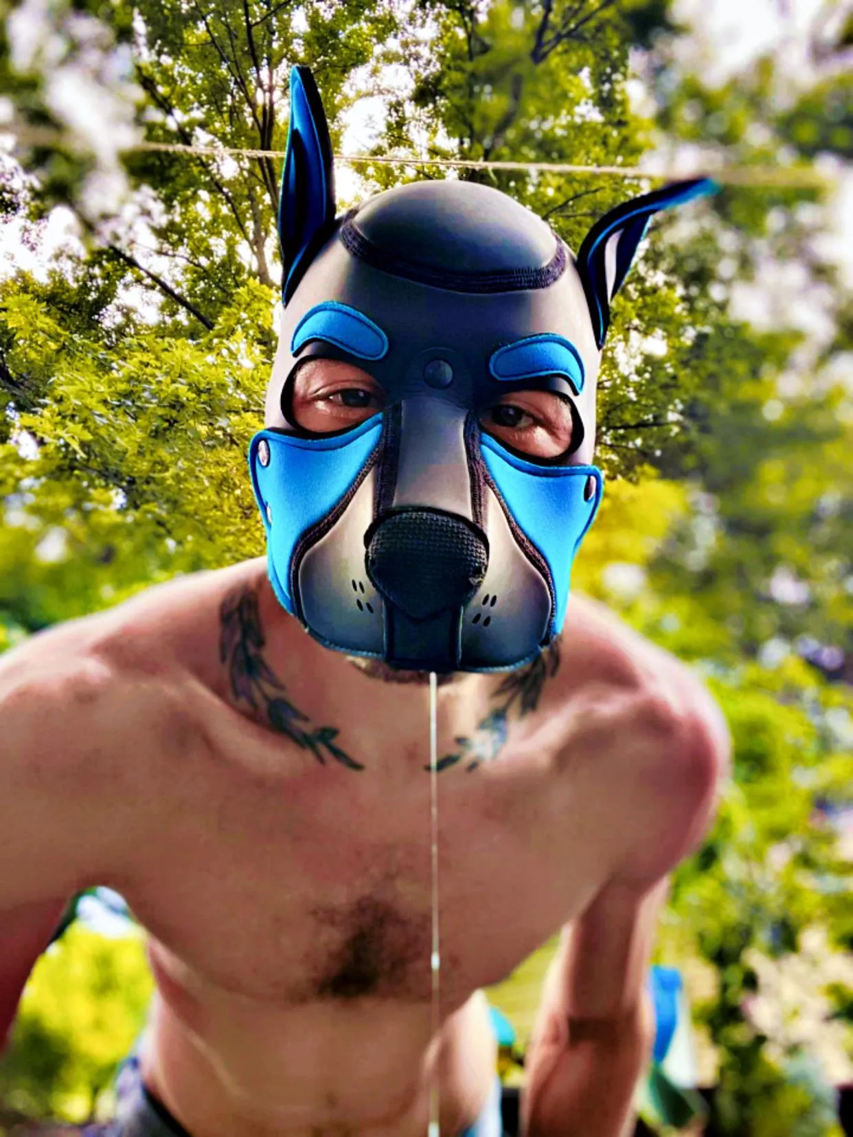 Hi pups 👋🏻 [woof]