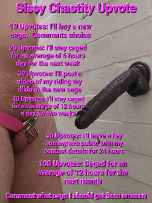 Sissy Chastity Upvote