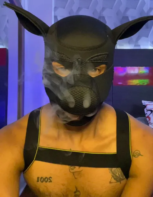 I have my cloudy channel in telegram