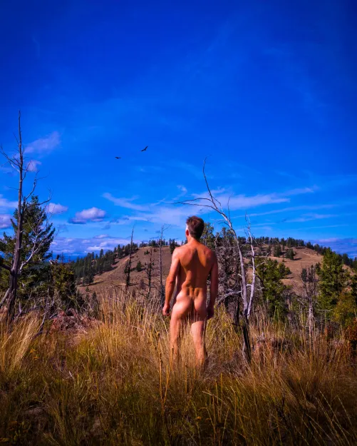 the view from up there